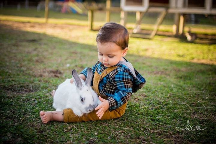 Famílias e animais na Vila dos Animais