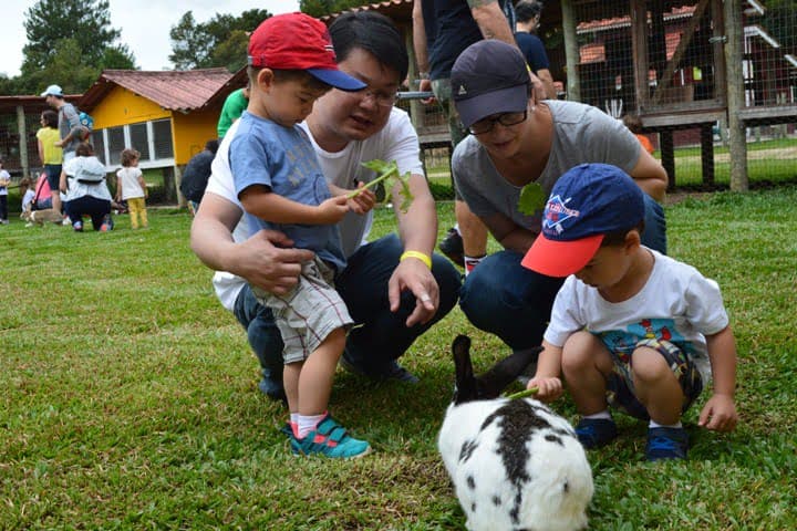 Paisagem rural da Vila dos Animais